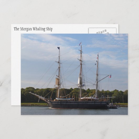 De Morgan Whaling Ship Briefkaart (Voorkant / Achterkant)