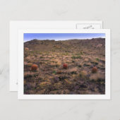 "De Morning Trifecta" Briefkaart (Voorkant / Achterkant)