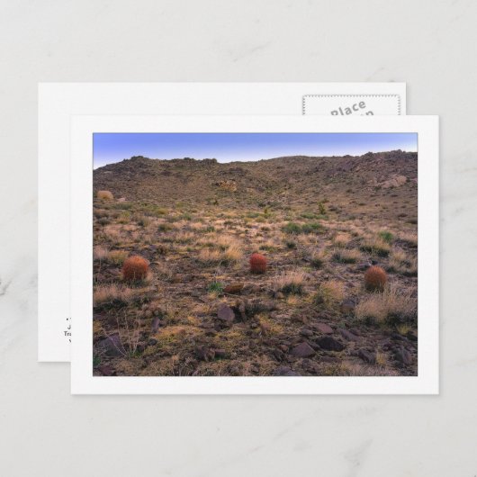 "De Morning Trifecta" Briefkaart (Voorkant / Achterkant)