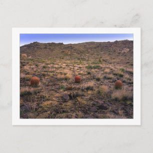 "De Morning Trifecta" Briefkaart