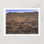 "De Morning Trifecta" Briefkaart (Voorkant)