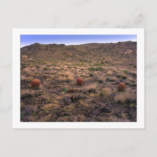 "De Morning Trifecta" Briefkaart (Voorkant)