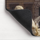 De Moro-fontein Muismat (Hoek)