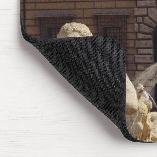 De Moro-fontein Muismat (Hoek)