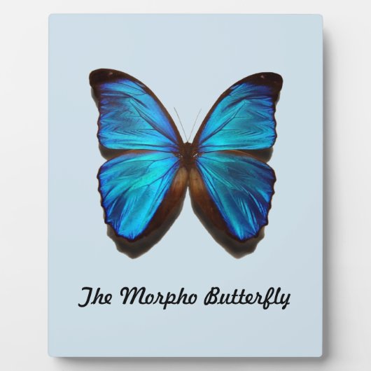 De Morpho Butterfly Fotoplaat (Voorkant)