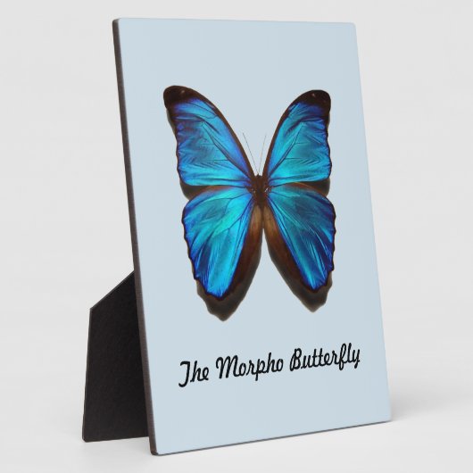 De Morpho Butterfly Fotoplaat (Zijkant)