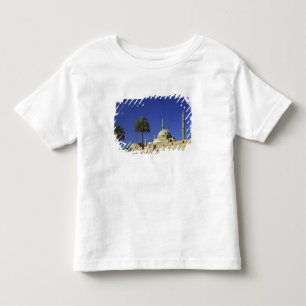 De Moskee van Muhammad Ali in de Citadel, ook 2 Kinder Shirts