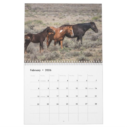 De mosterd van het zand wasbekken kalender (Feb 2026)