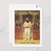 De mosterdkoppen van de  Colman op het veld Cricke Briefkaart (Voorkant / Achterkant)