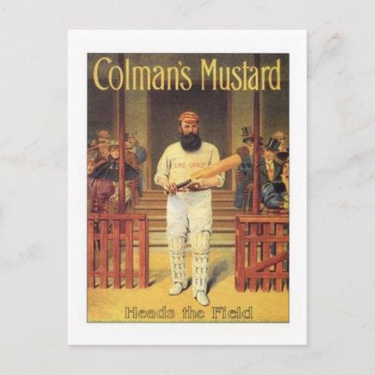 De mosterdkoppen van de  Colman op het veld Cricke Briefkaart (Voorkant)