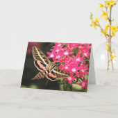 De Mot van de kolibrie Kaart (Gele Bloem)