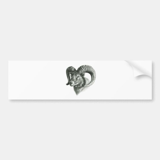 De Mouflon G125 Bumpersticker (Voorkant)