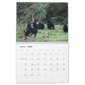 De Mountain Gorilla Kalender (Mar 2026)