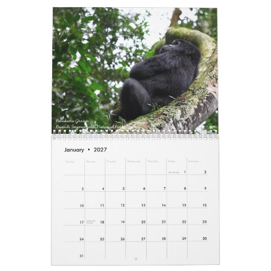 De Mountain Gorilla Kalender (Jan 2027)
