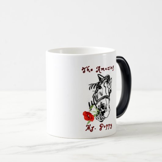 DE MR. POPPY MAGISCHE MOK (Voorkant rechts)