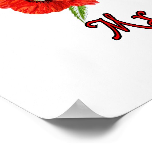 DE MR. POPPY POSTER (Hoek)