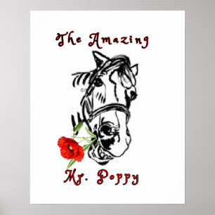 DE MR. POPPY POSTER