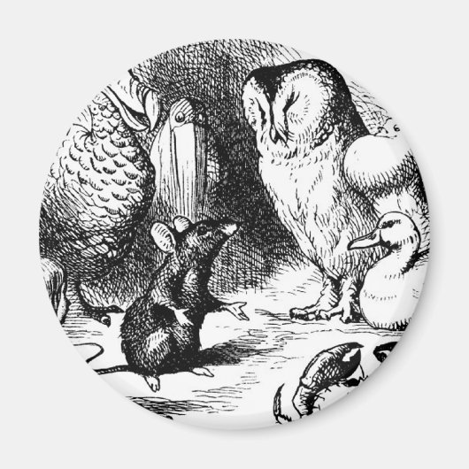 De muis en het droge verhaal magneet (Voorkant)