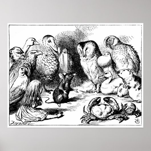 De muis en het droge verhaal poster (Voorkant)