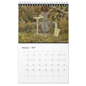 De muis in het stapelhuis  kalender (Feb 2027)