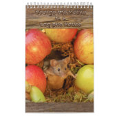 De muis in het stapelhuis  kalender (Hoes)