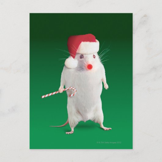 De muis kleedde zich als Kerstman Feestdagenkaart (Voorkant)