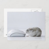 De muis van de hamster en van de Computer Briefkaart (Voorkant / Achterkant)
