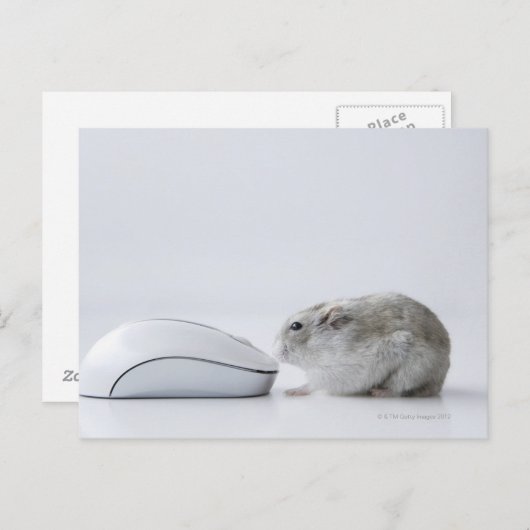De muis van de hamster en van de Computer Briefkaart (Voorkant / Achterkant)