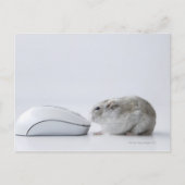 De muis van de hamster en van de Computer Briefkaart (Voorkant)