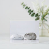 De muis van de hamster en van de Computer Briefkaart (Staand voorkant)