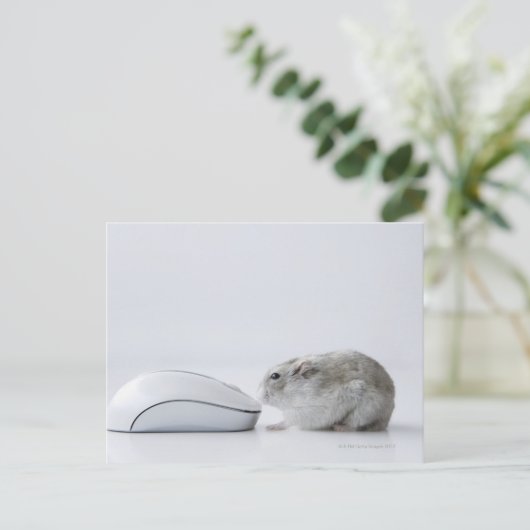 De muis van de hamster en van de Computer Briefkaart (Staand voorkant)
