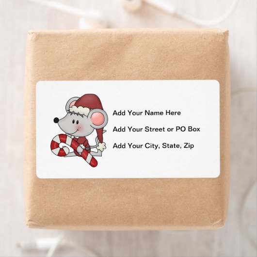 De Muis van Kerstmis met het Riet van het Snoep Etiket (Insitu)