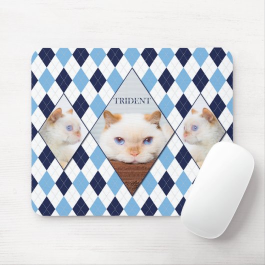 De Muismat Cat Argyle uitproberen (Met muis)