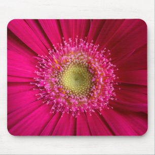 De Muismat van Daisy van Gerbera
