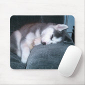 De Muismat van de puppy slaapt (Met muis)