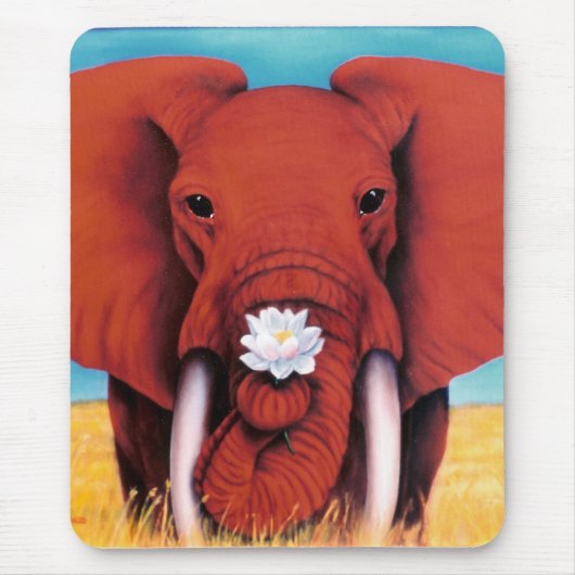 De Muismat van het kweekveld (Voorkant)