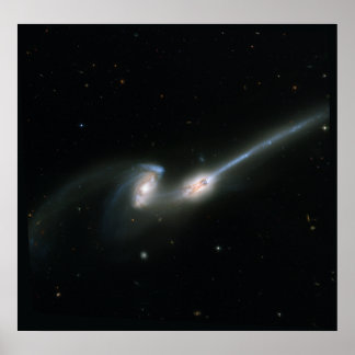 De Muizen (NGC 4676) — Verzamelde sterrenstelsels Poster