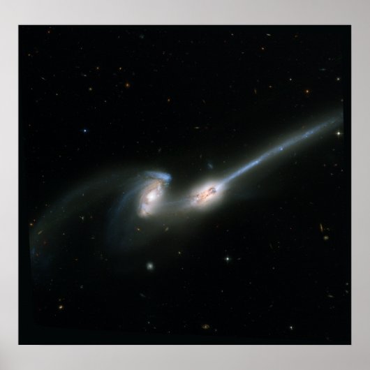 De Muizen (NGC 4676) — Verzamelde sterrenstelsels Poster (Voorkant)