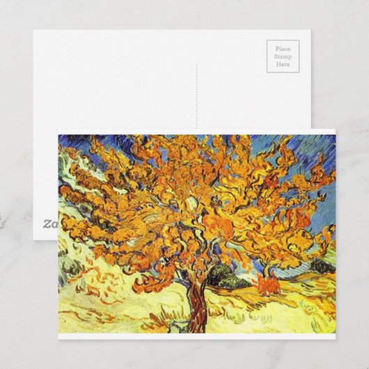 De Mulberry-boom, Vincent Van Gogh Briefkaart (Voorkant / Achterkant)