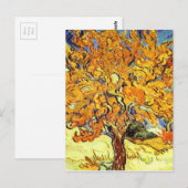 De Mulberry-boom, Vincent Van Gogh Briefkaart (Voorkant / Achterkant)