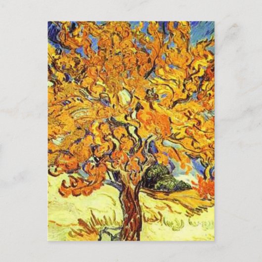 De Mulberry-boom, Vincent Van Gogh Briefkaart (Voorkant)