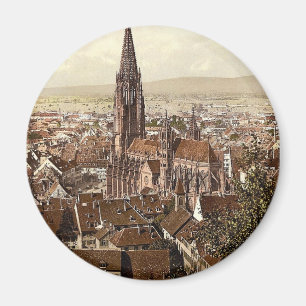 De Münster, Freiburg, Baden, Duitsland schitterend Magneet