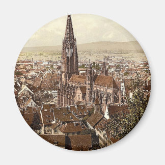 De Münster, Freiburg, Baden, Duitsland schitterend Magneet