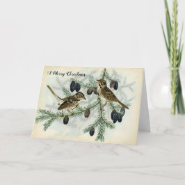 De Mussen van Kerstmis op de Boom van de Pijnboom Feestdagen Kaart