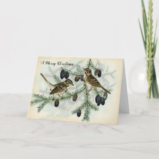 De Mussen van Kerstmis op de Boom van de Pijnboom Feestdagen Kaart (Voorkant)