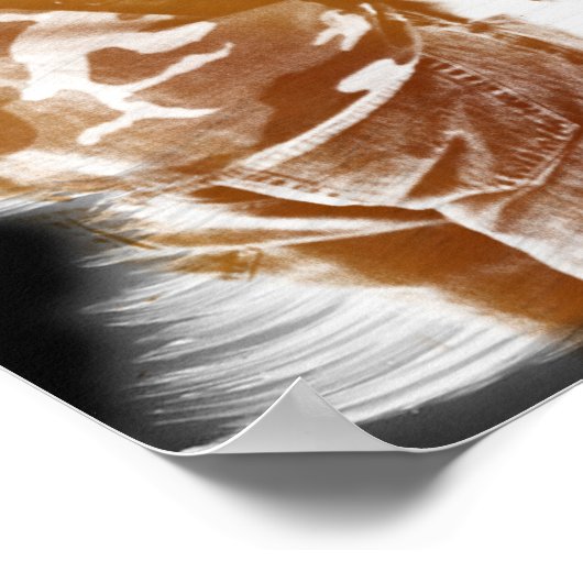 De muur poster (Hoek)