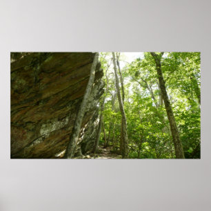 De Muur van de Rots van Frazier in Nationaal Park Poster