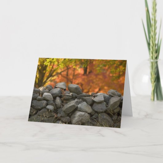 DE MUUR   VAN DE STEEN VAN WENSKAARTEN KAART (Voorkant)