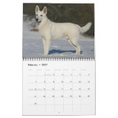 De muurkalender van de Hond van de Duitse herder Kalender (Feb 2027)