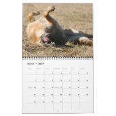 De muurkalender van de Hond van de Duitse herder Kalender (Mar 2027)